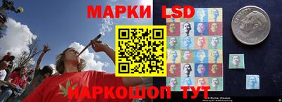 гидропоника Донской