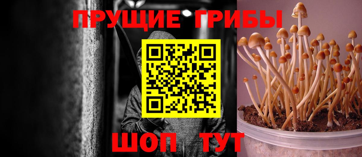 Галлюциногенные грибы Cubensis  Вход с VPN  Лосино-Петровский 
